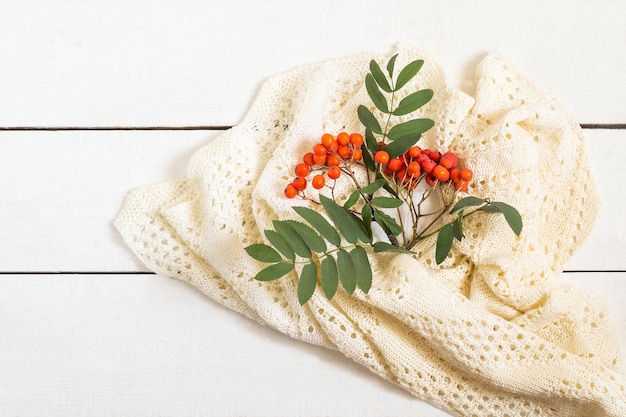 Branch of ripe rowan and white knitted scarf