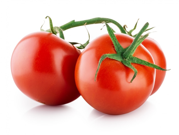 Branch of ripe tomatoes