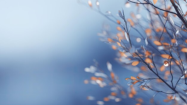 a branch with flowers that says " sprinkle " on it.