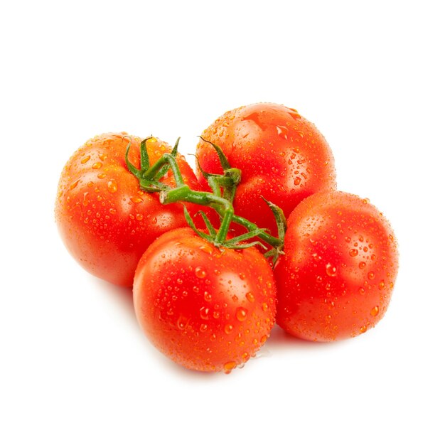 Branch with fresh ripe tomatoes on white