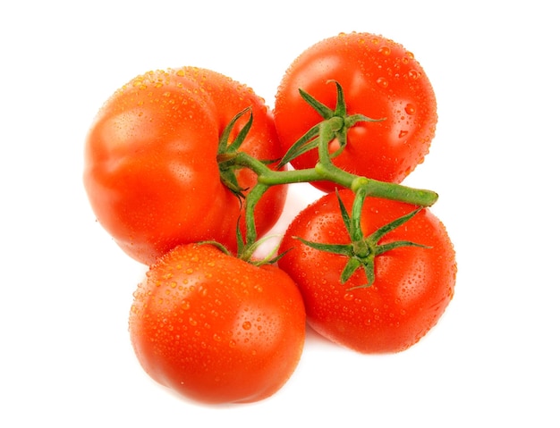 Branch with fresh ripe tomatoes on white