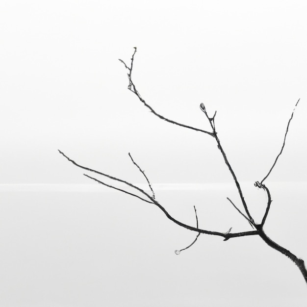 Photo a branch with no leaves is in front of a body of water.