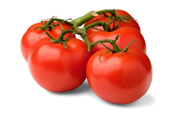 A branch with red tomatoes close-up lies sideways and casts a shadow on a white isolated background.