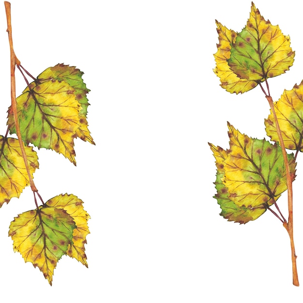 Branch with yellow autumn leaves Watercolor illustration Clip art botany foliage