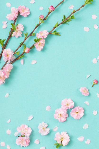 Branches of blossoming almonds on green background