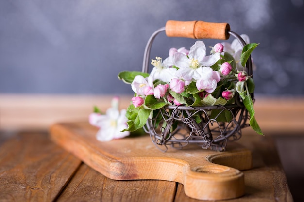 Branches of a blossoming appletree