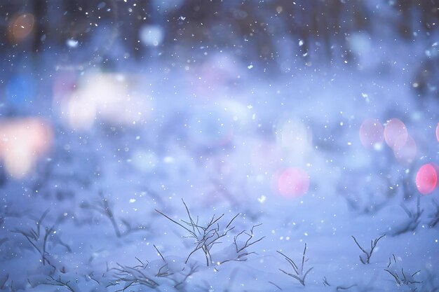 branches covered with frost background abstract winter december view