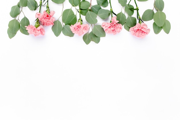 Branches of eucalyptus and clove pink isolated on white background the apartment lay top view