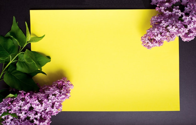 Branches of lilac on a yellow background