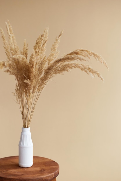 Branches of pampas grass in vase on beige background interior decoration copy space