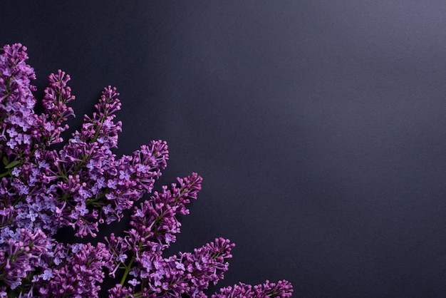 Branches of purple lilac on dark stone background Top view Copy for your text Image