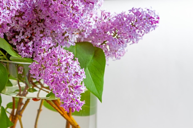 Branches of purple lilacs are collected in a lush bouquet in a glass vase