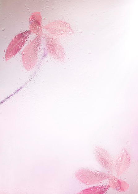 branches with pink leaves behind wet glass Focus on glass