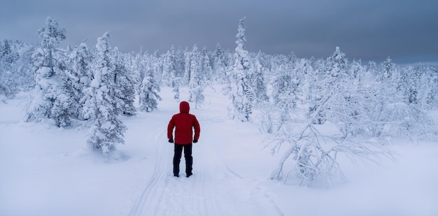 Brave traveler before a long winter road Lonely traveler in a fabulous winter forest Severe northern weather poor visibility Polar expedition Snowy slope in a foggy frost shroud