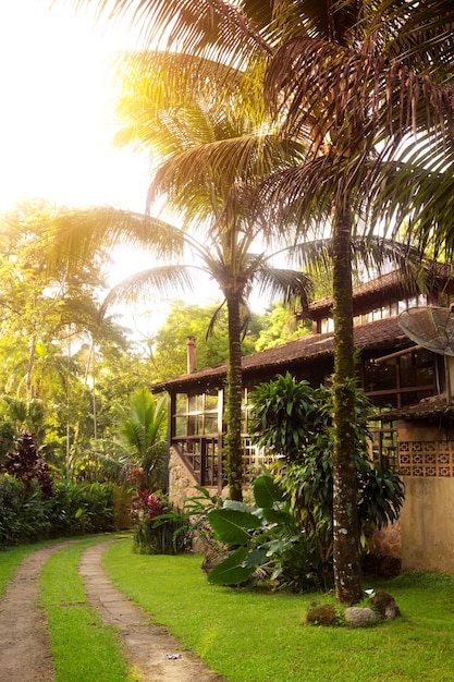 Brazil traditional house. path along the house and palm trees in the garden,  Brasil