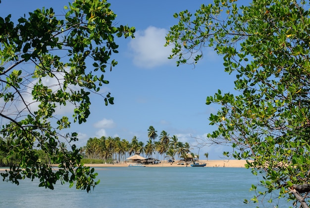 Brazilian beach and angrove at Barra de Camaratuba Beach near Joao Pessoa Paraiba Brazil