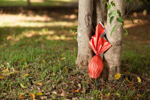 Brazilian Easters egg , wrapped in red paper under a tree