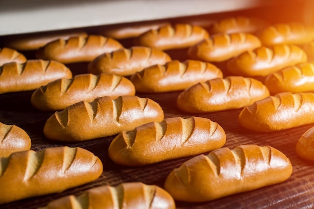 Bread in the furnace baking buns confectionery plant for the production of bread