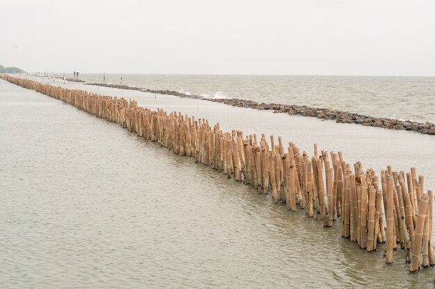 Breakwater bamboo pole and stone coast protection