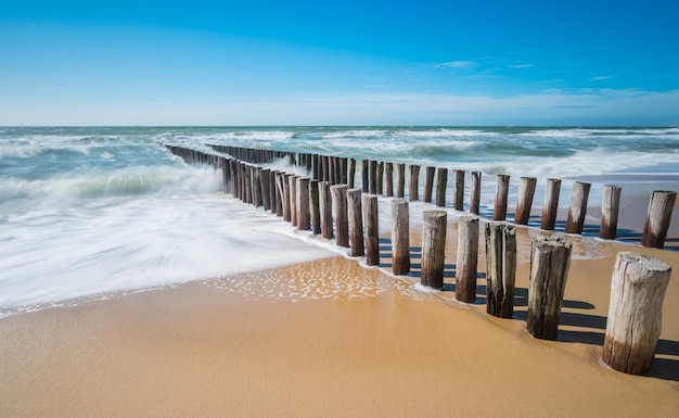 Breakwater on a sandy beach in Zeeland The Netherlands