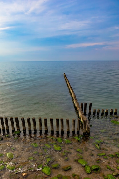 Breakwaters moss green stones and clear water on the shores of the Baltic Sea Svetlogorsk Russia