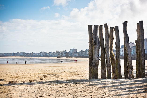 Breakwaters on seashore Saint malo, France