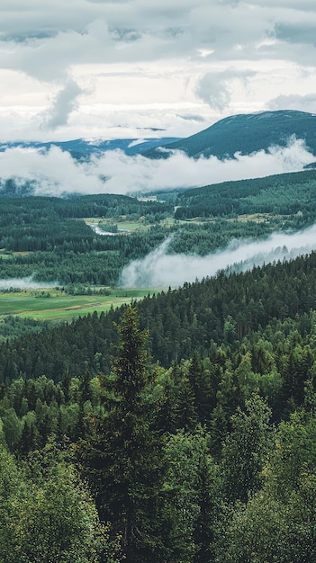 Photo a breathtaking mountainous swedish landscape showcases rolling clouds over lush green forests and valleys serene atmosphere invites tranquility and reflection