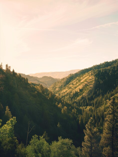 Photo breathtaking view of a lush green valley surrounded by forested hills under a gentle sunset