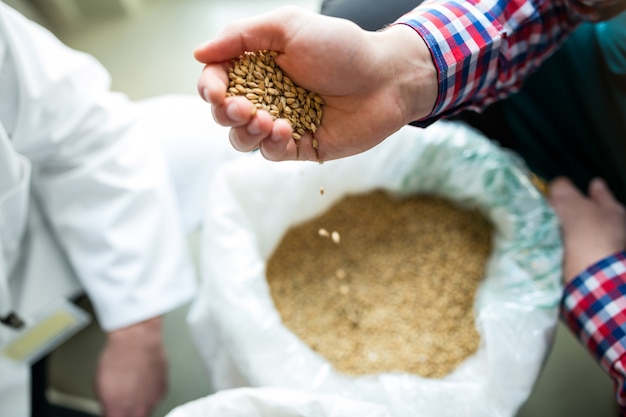 Photo brewer pouring grains