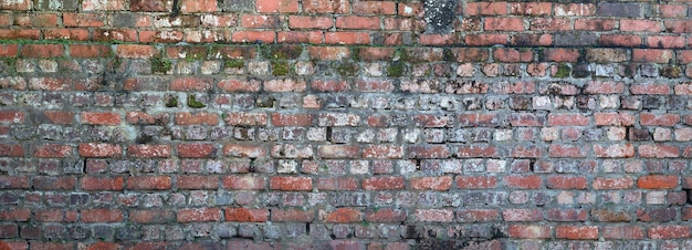 Brick wall as a background or texture copy space