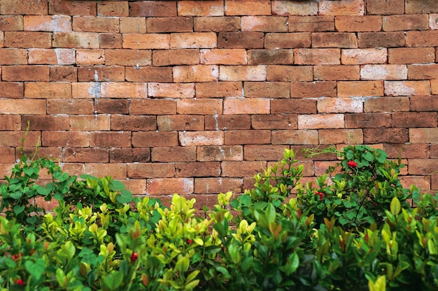 brick wall background with leaves, old vintage brick wall backdrop.