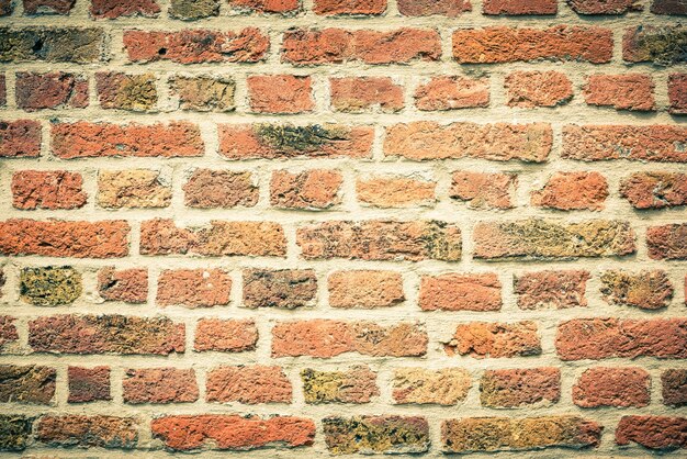 Brick Wall Background