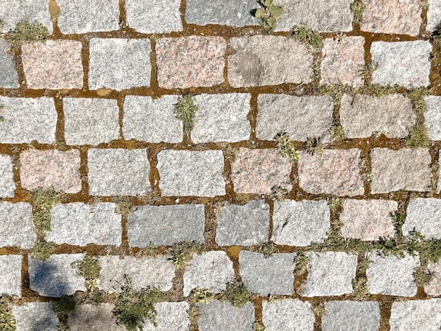 A brick wall with a green moss growing on it