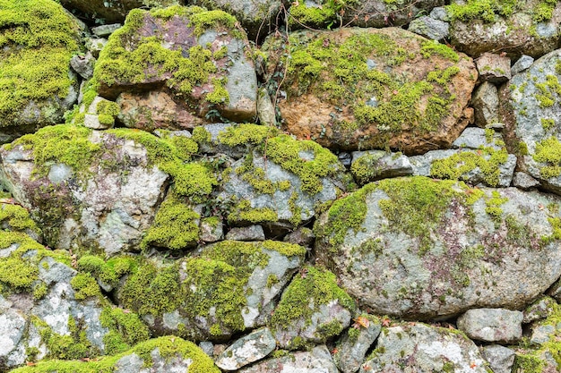 Brick wall with moss