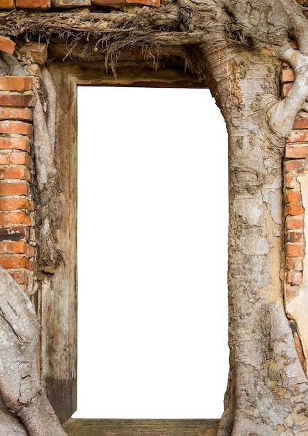 Brick wall with wooden door