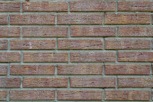 A brick wall with the word stone on it