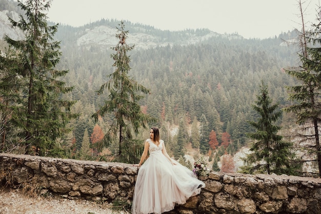 Bride in a beautiful dress siting on rock with background of green pine forest.