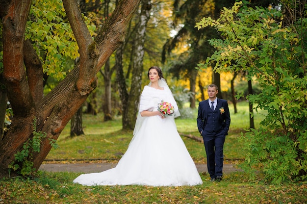 The bride and groom on autumn park.