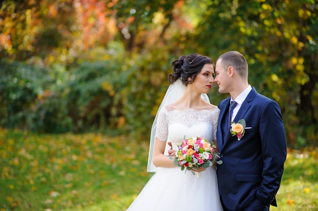 The bride and groom on the background of the autumn park