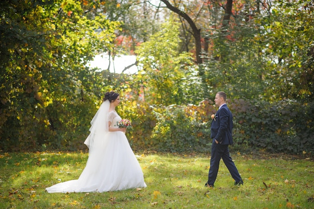 The bride and groom on the background of the autumn park