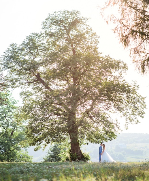 Bride and groom hold each other tender standing under large old green tree