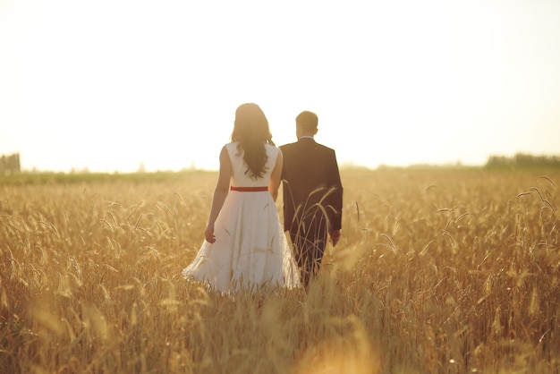 The bride and groom hold hands and walk in the wheat field in the rays of the sunset