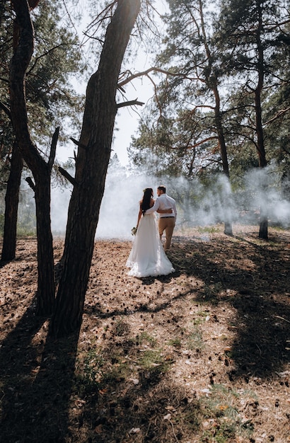 Bride and groom. Luxurious young couple of newlyweds in love posing for the first family wedding photo shoot