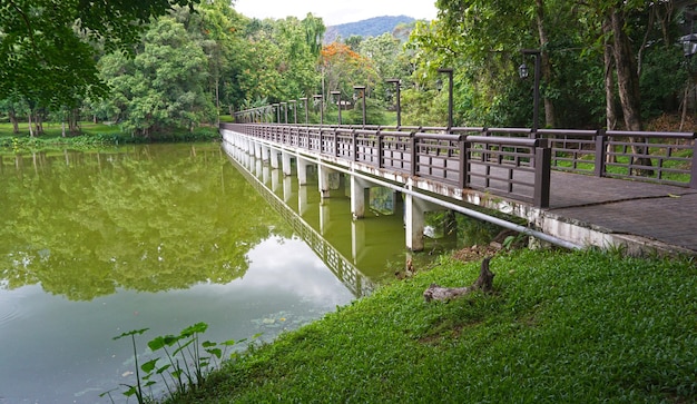 Bridge in the middle of the river crossing to nature with green trees at the destination view shad