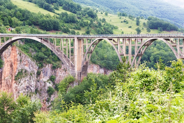 Bridge in mountains