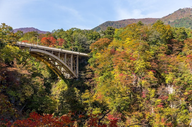 Bridge passing though Naruko Gorge