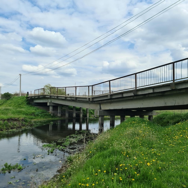 A bridge over a river with a bunch of dandelions in the grass.