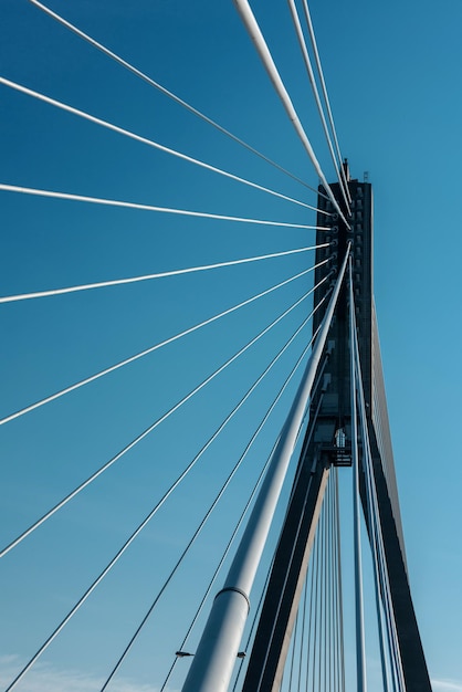 Bridge support with cables