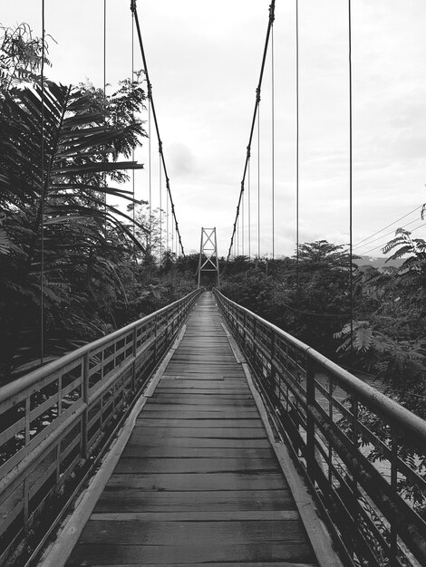 Photo bridge in the village