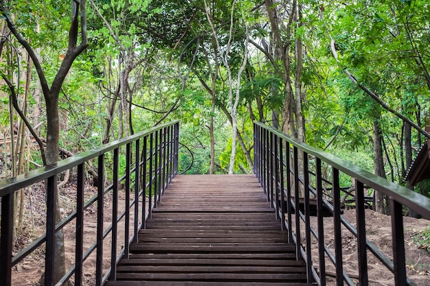 Bridge walkway wood in forest